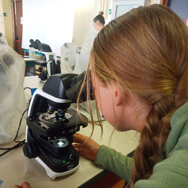 33. Laboratorio di microbiologia dell’università della Tuscia