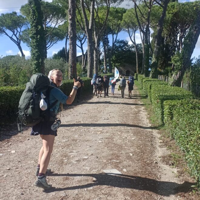 17. Chi siete, cosa fate, cosa portate, si ma quanti siete? Un fiorino!