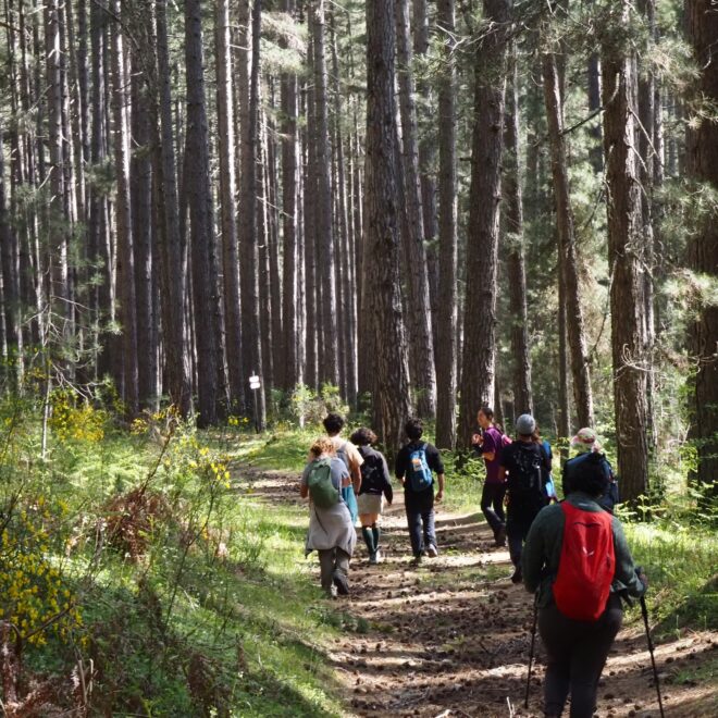 Da Bova alla Sila: quando il cammino diventa formazione tra natura e studio